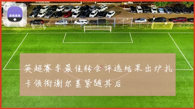 英超赛季最佳转会评选结果出炉扎卡领衔谢尔基紧随其后
